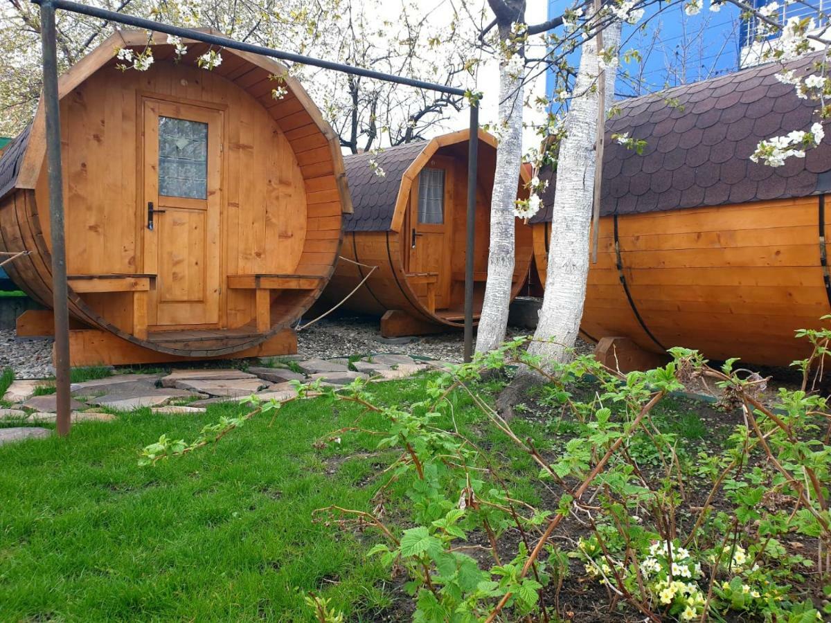 Zozo Hostel Brașov Exterior foto